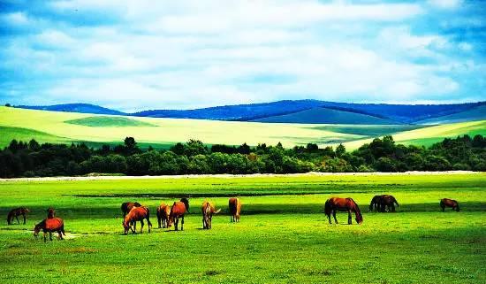 内蒙古团结奋进大会——尊敬的领导与同胞共聚一堂
