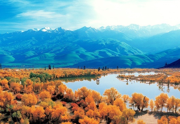 新疆科技之光，解码新疆高科技产品引领未来之路